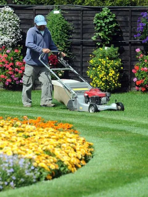 A Healthy Lawn in 2023: Expert Tips for Spring