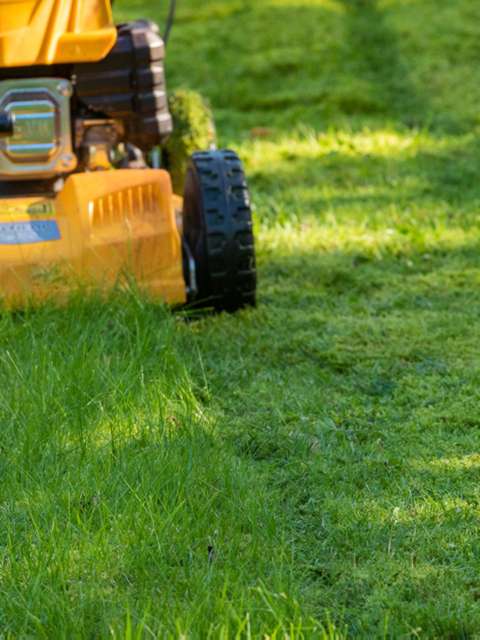 Autumn Lawn Mowing Tips for a Perfect Garden