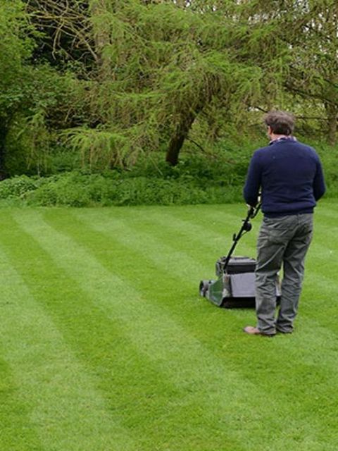 Guide to Achieving a Lush Lawn in May