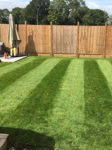 Grass Cutting and Lawn Care Services in Surrey