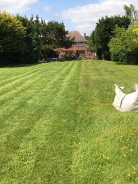 Lawn Mowing Services in Surrey and West Sussex