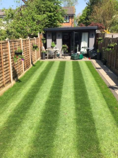 Create Lawn Stripes: Everything You Need to Know