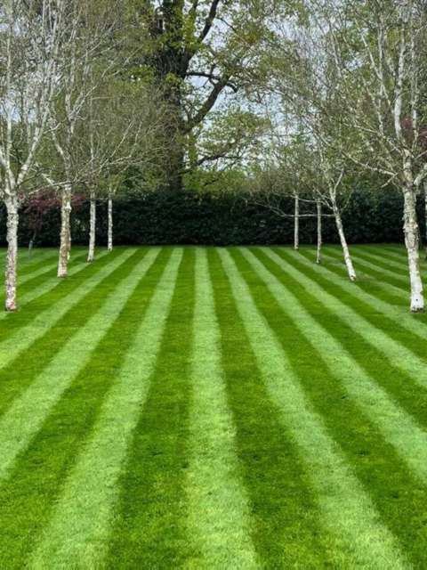 Benefits of Professional Lawn Care