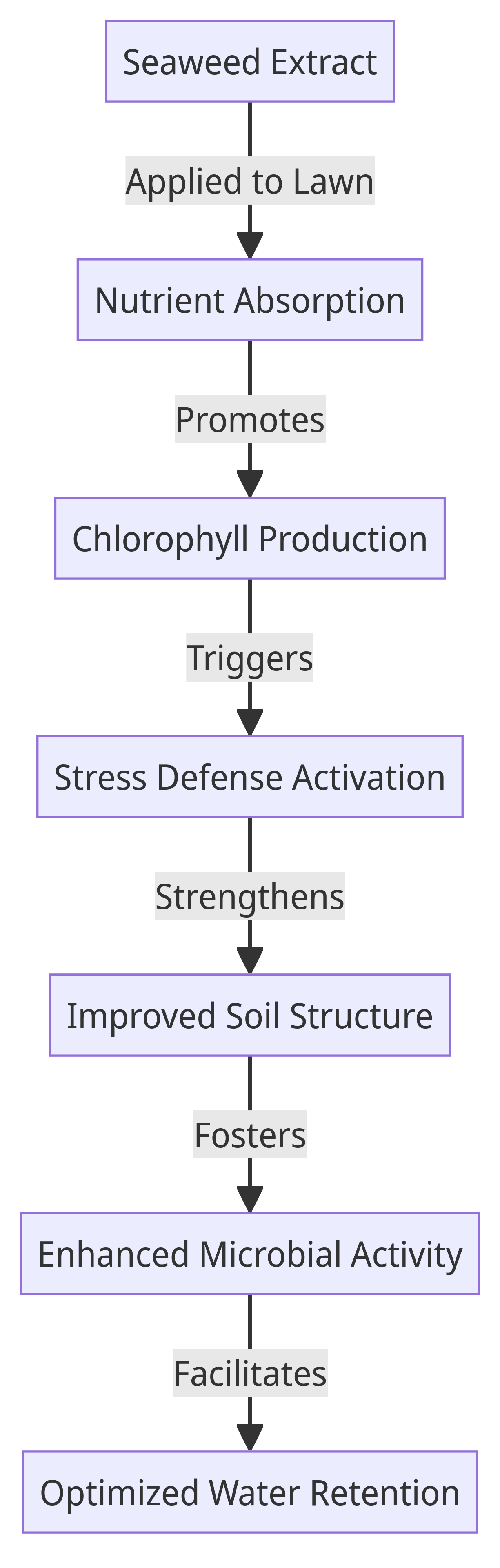 seaweed-diagram