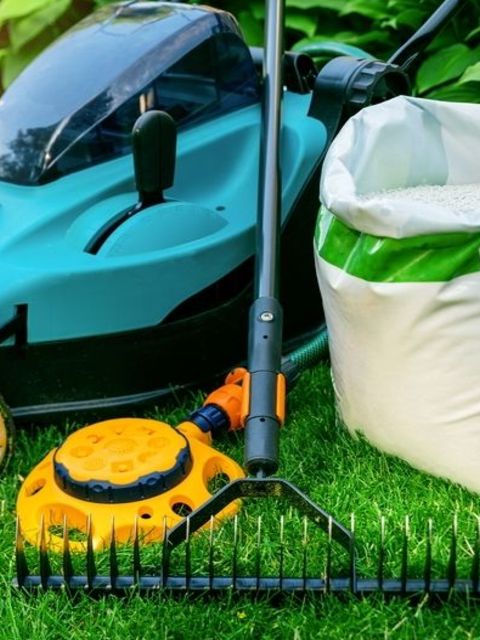 Lawn Care: Transform Your Garden with Expert Tips