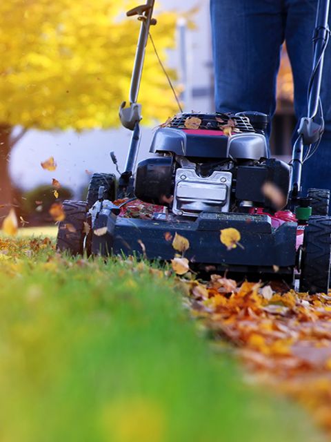 An image of a well-maintained lawn in autumn.