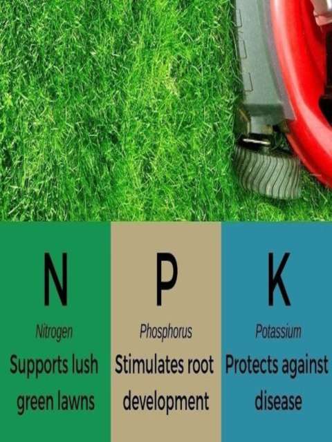 Understanding NPK: A Comprehensive Guide