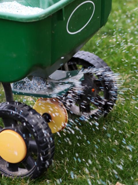 Discover Why Using Spring Fertiliser is Essential.