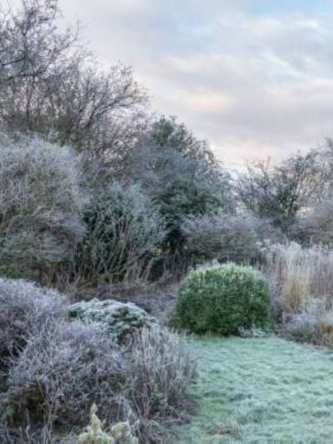 A Winter Lawn Care Guide for a Healthy Garden