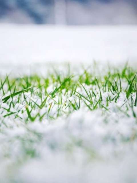 Winter Lawn Care - Tips For The Chilly Season