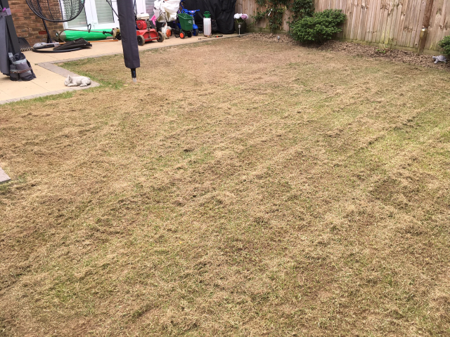 Full Lawn Renovation Westvale Horley May 2022 | One Stop lawn Care