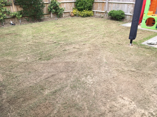 Full Lawn Renovation Westvale Horley May 2022 | One Stop lawn Care