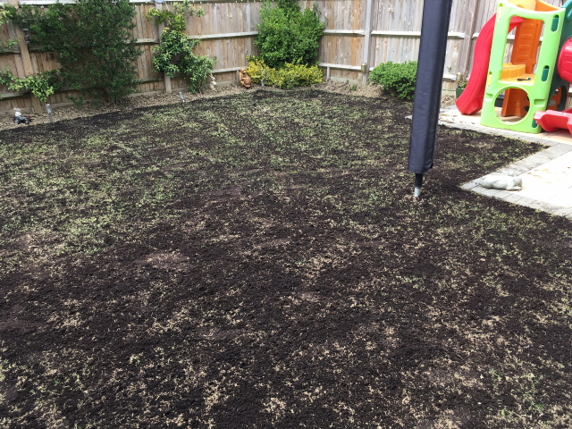 Full Lawn Renovation Westvale Horley May 2022 | One Stop lawn Care