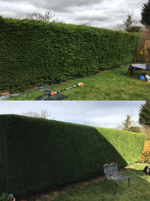 Hedge Trimming, One Stop Lawn Care, Horley, Surrey