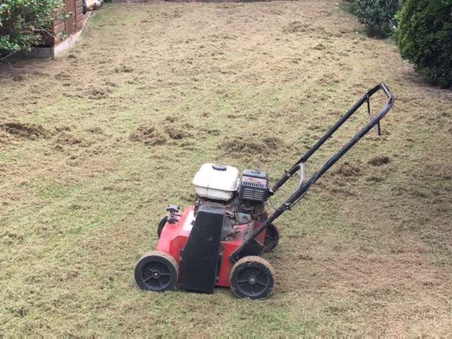 Scarification, One Stop Lawn Care, Horley, Surrey